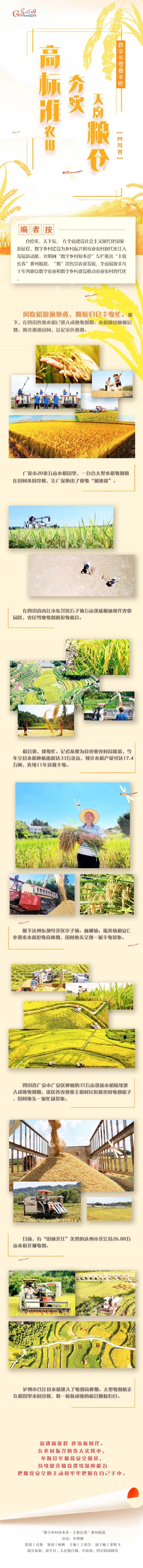 【豐收長卷】高標(biāo)準農(nóng)田夯實天府糧倉