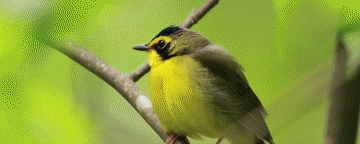 微視頻|向著美好的未來