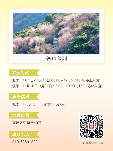 追花指南第六期！杏花雨 楊柳風(fēng) 北京最美的杏花在這里