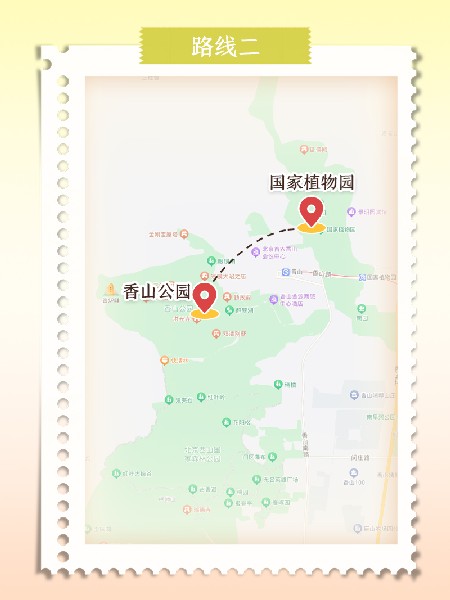 追花指南第六期！杏花雨 楊柳風(fēng) 北京最美的杏花在這里