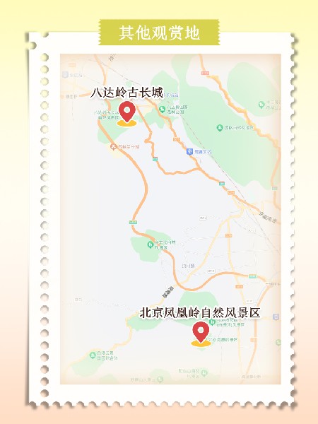 追花指南第六期！杏花雨 楊柳風(fēng) 北京最美的杏花在這里