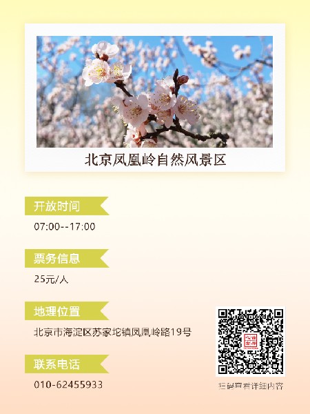 追花指南第六期！杏花雨 楊柳風(fēng) 北京最美的杏花在這里