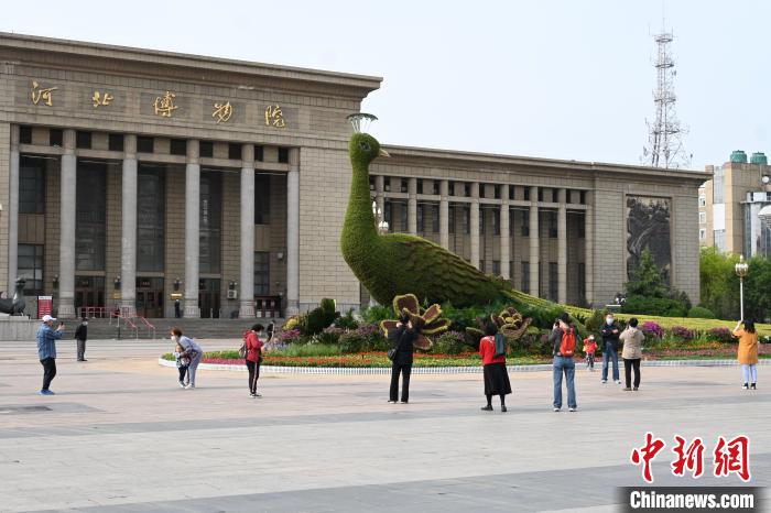 圖為游客在花壇前拍照打卡?！〉杂鸺?攝