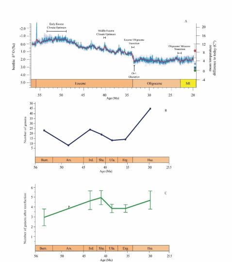 早始新世至早漸新世東亞嚙齒類屬級多樣性變化。　中科院古脊椎所 供圖