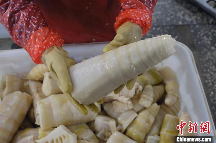 圖為整根腌制后撈出的酸筍?！⒖÷?攝