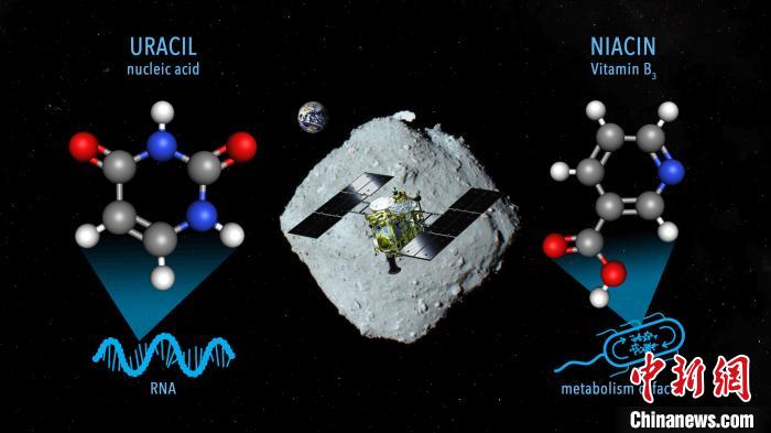國(guó)際最新研究稱，近地小行星“龍宮”上發(fā)現(xiàn)尿嘧啶等核酸堿基