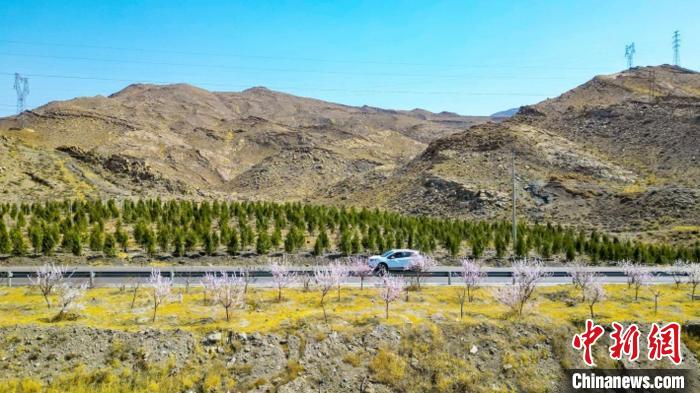 生態(tài)修復(fù)后逐漸變綠的賀蘭山石嘴山段?！∈焐绞形麄鞑抗﹫D