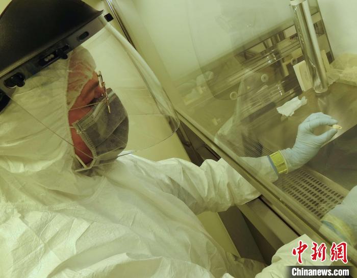 Elena Essel在凈室中處理鹿牙墜飾(圖片來自馬克斯·普朗克演化人類學研究所)?！∈┢樟指瘛ぷ匀?供圖