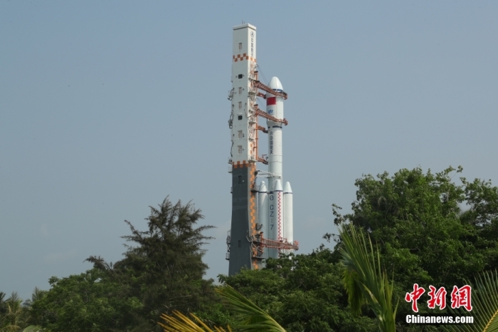 圖為轉(zhuǎn)運(yùn)現(xiàn)場。攝影 邱立軍 黃國暢