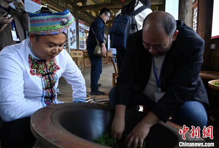 東盟國(guó)家媒體記者了解制茶工藝?！堊?攝