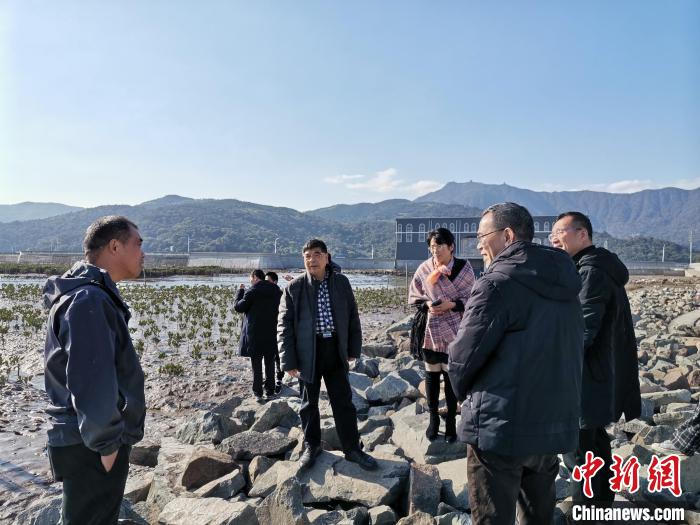 浙江海洋生態(tài)觀察：智慧大腦如何解鎖藍色發(fā)展密碼？