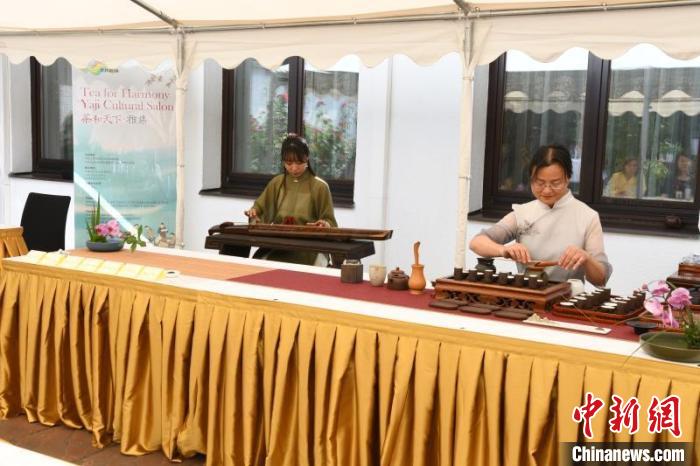 圖為余亞麗茶藝展示，王曉嬋古琴演奏 柏林中國(guó)文化中心供圖。