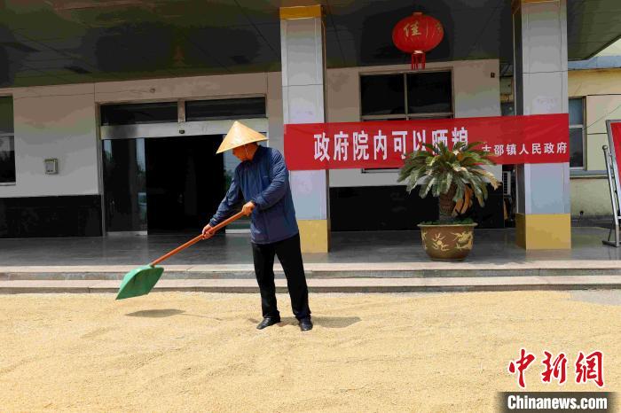 村民在棗莊市嶧城區(qū)古邵鎮(zhèn)政府大院內(nèi)晾曬糧食?！『?　攝