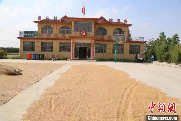 農(nóng)民在邳莊鎮(zhèn)尚莊村黨群服務(wù)中心大院里曬糧。　賈萌 攝
