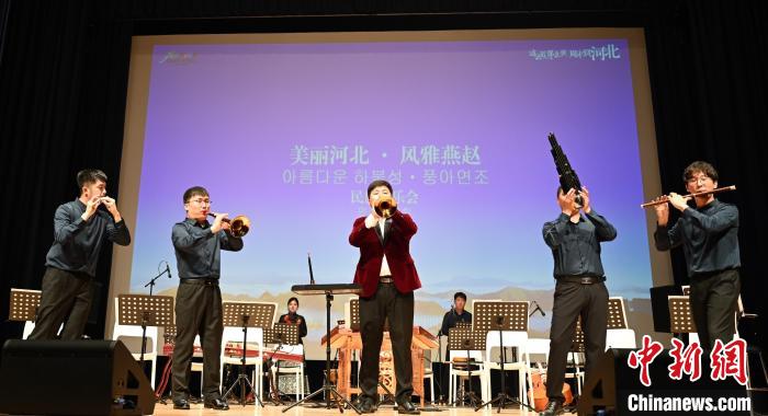 圖為音樂會現(xiàn)場?！∈谞栔袊幕行墓﹫D