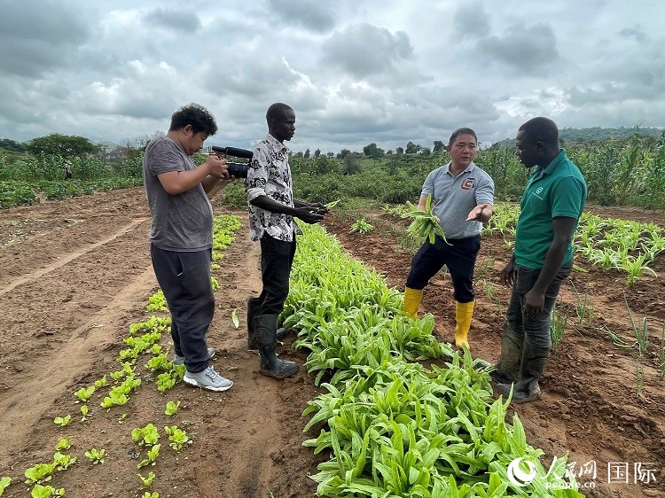 人民網(wǎng)記者走進(jìn)尼日利亞農(nóng)業(yè)技術(shù)示范中心。人民網(wǎng)記者 趙艷紅攝