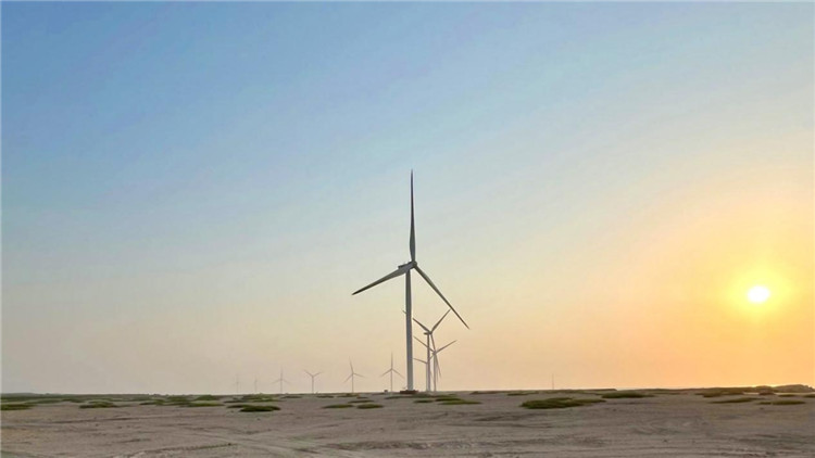 圖為阿聯(lián)酋風(fēng)電示范項目在阿布扎比薩爾巴尼亞斯島上的風(fēng)電場。 中國電建供圖