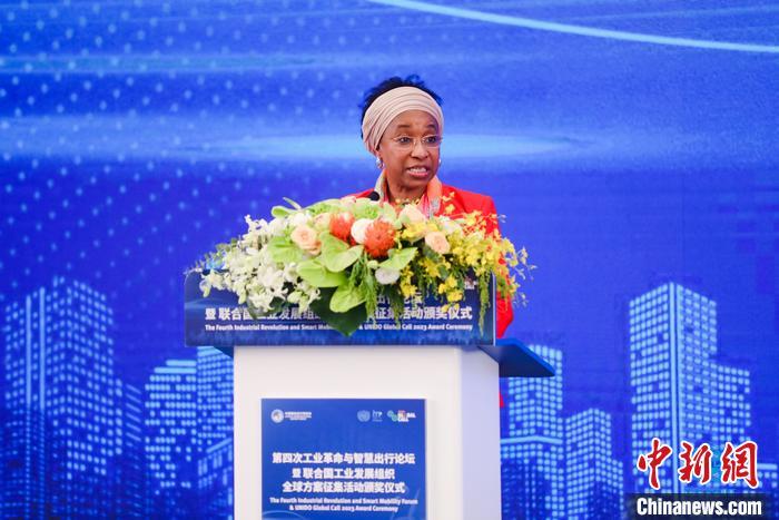 聯(lián)合國工業(yè)發(fā)展組織總干事代表兼執(zhí)行干事法圖 海達(dá)拉致辭。