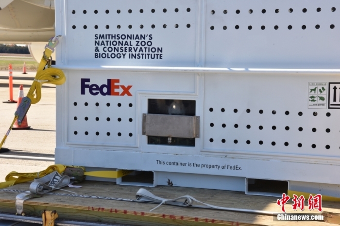 當(dāng)?shù)貢r(shí)間11月8日，美國華盛頓史密森學(xué)會(huì)國家動(dòng)物園的大熊貓“美香”“添添”和它們的幼崽“小奇跡”乘坐的專機(jī)從華盛頓杜勒斯國際機(jī)場起飛前往中國成都。圖為裝有大熊貓的特制“旅行箱”。<a target='_blank' href='/'><p  align=