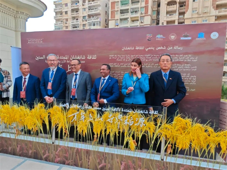 圖為現(xiàn)場(chǎng)嘉賓為特展啟幕。開羅中國(guó)文化中心供圖