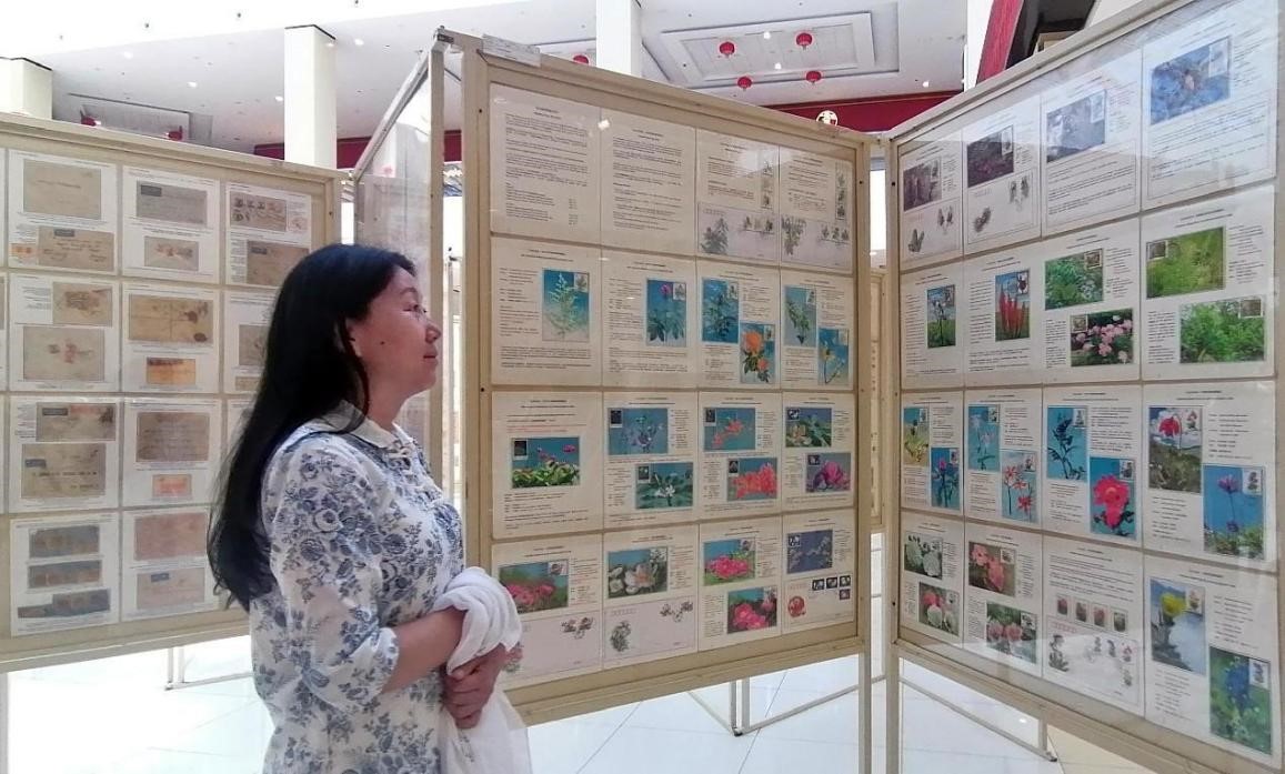 藥用植物極限片展覽場景。第七屆阿聯(lián)酋集郵展主辦方供圖