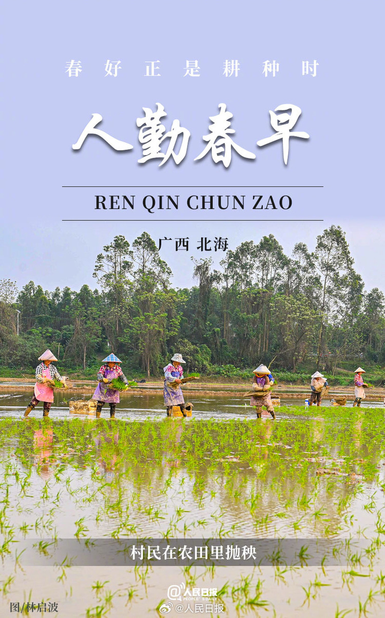 生機盎然！用課本封面打開春耕畫卷