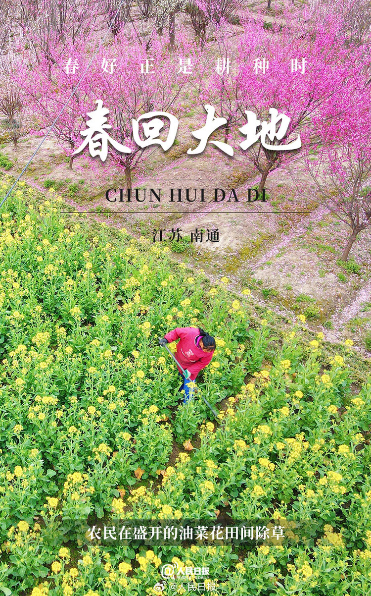 生機盎然！用課本封面打開春耕畫卷