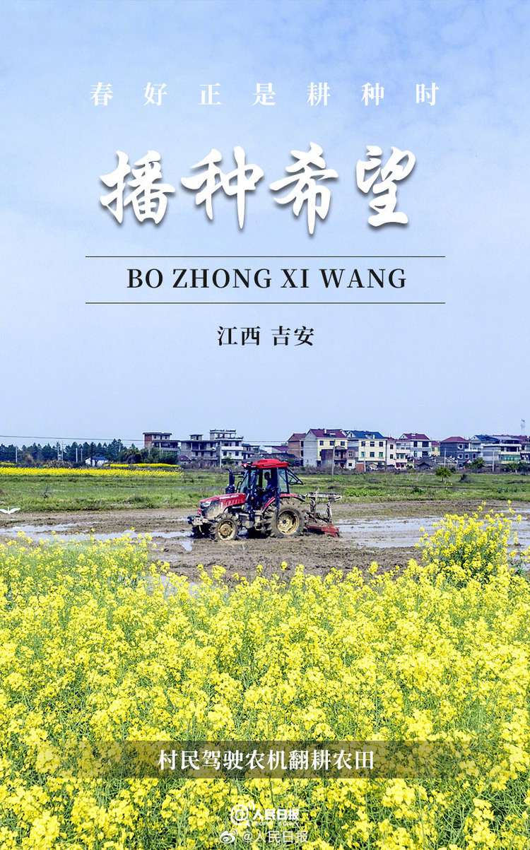 生機盎然！用課本封面打開春耕畫卷