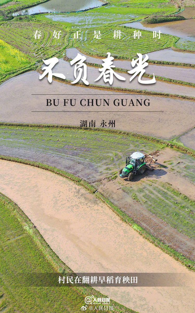 生機盎然！用課本封面打開春耕畫卷