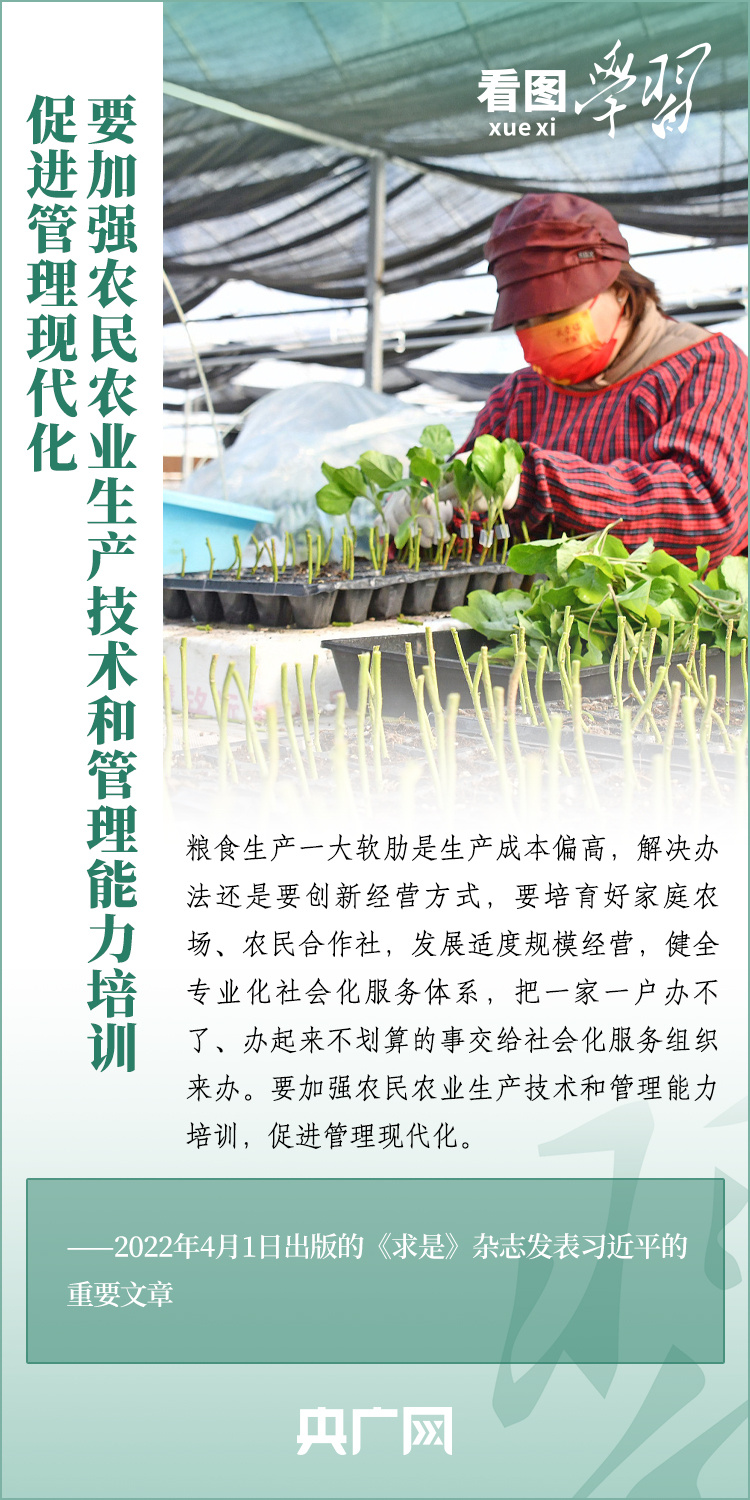 看圖學(xué)習(xí)丨推廣良田、良種、良法、良機(jī) 給農(nóng)業(yè)現(xiàn)代化插上科技的翅膀