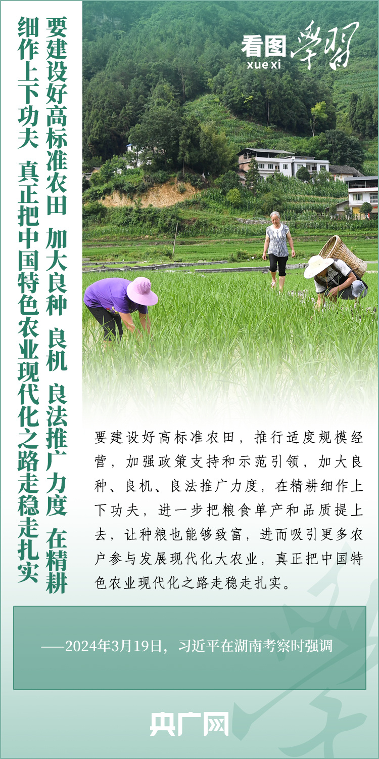 看圖學(xué)習(xí)丨推廣良田、良種、良法、良機(jī) 給農(nóng)業(yè)現(xiàn)代化插上科技的翅膀