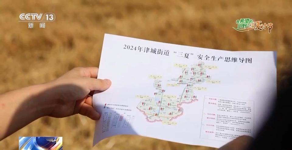“三夏”生產(chǎn)思維導(dǎo)圖安排上了！還有政府大院等你來“曬”