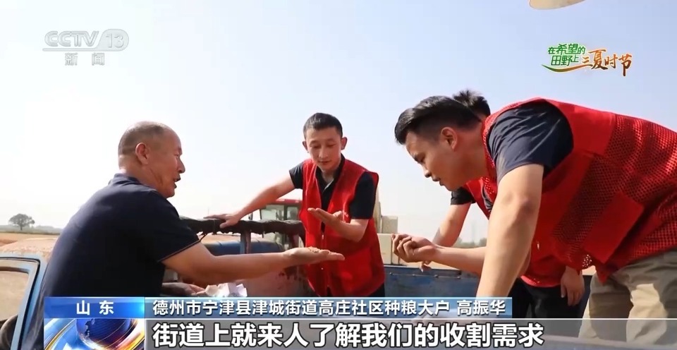 “三夏”生產(chǎn)思維導(dǎo)圖安排上了！還有政府大院等你來“曬”