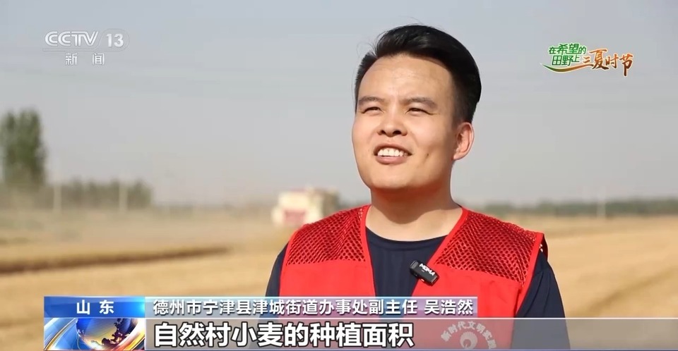 “三夏”生產(chǎn)思維導(dǎo)圖安排上了！還有政府大院等你來“曬”