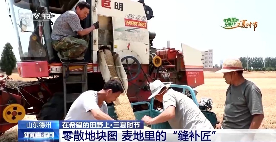 “三夏”生產(chǎn)思維導(dǎo)圖安排上了！還有政府大院等你來“曬”