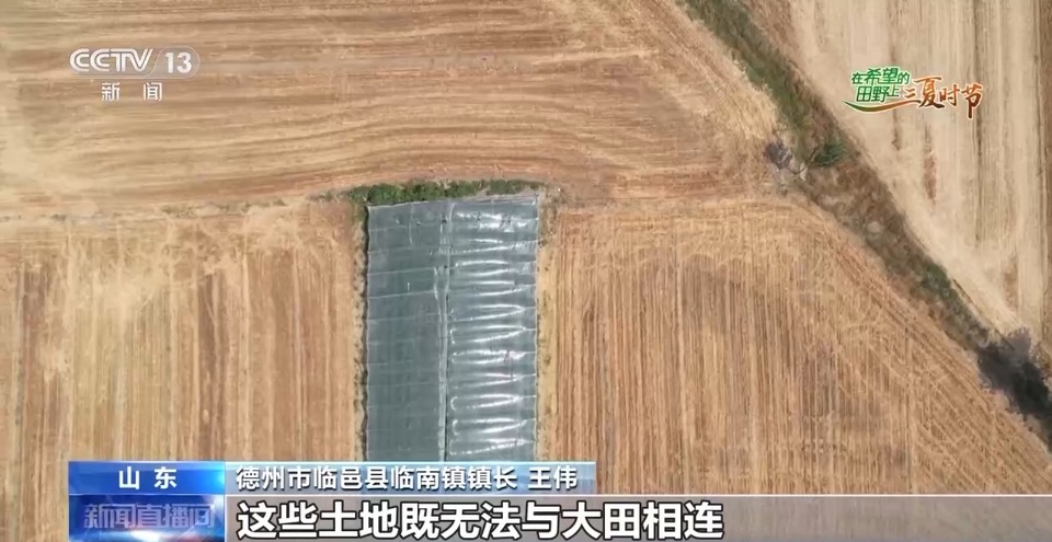 “三夏”生產(chǎn)思維導(dǎo)圖安排上了！還有政府大院等你來“曬”