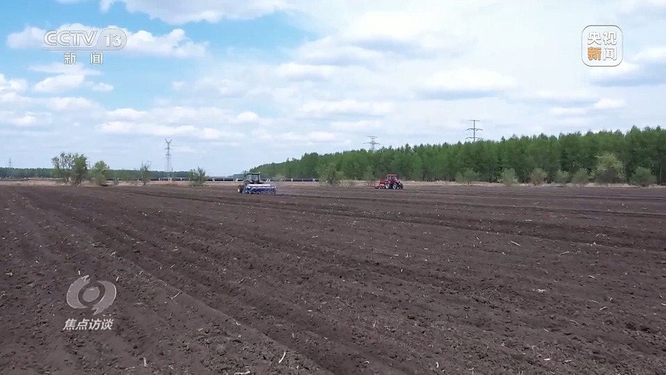 焦點訪談丨一粒良種 萬擔好糧 探索農作物高產(chǎn)高質“新密碼”