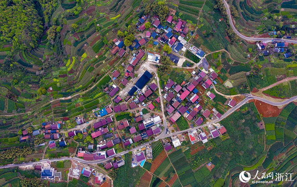 4月1日，紹興市新昌縣東茗鄉(xiāng)下巖貝村風光秀麗，茶園旖旎。人民網(wǎng) 章勇濤攝