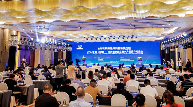 對接會現(xiàn)場。湖南省商務(wù)廳供圖