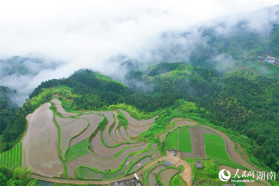 云中梯田美如畫。人民網(wǎng) 李芳森攝