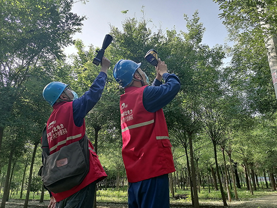 工作人員進(jìn)行紅外測(cè)溫及超聲波局部放電檢測(cè)。 王亮攝