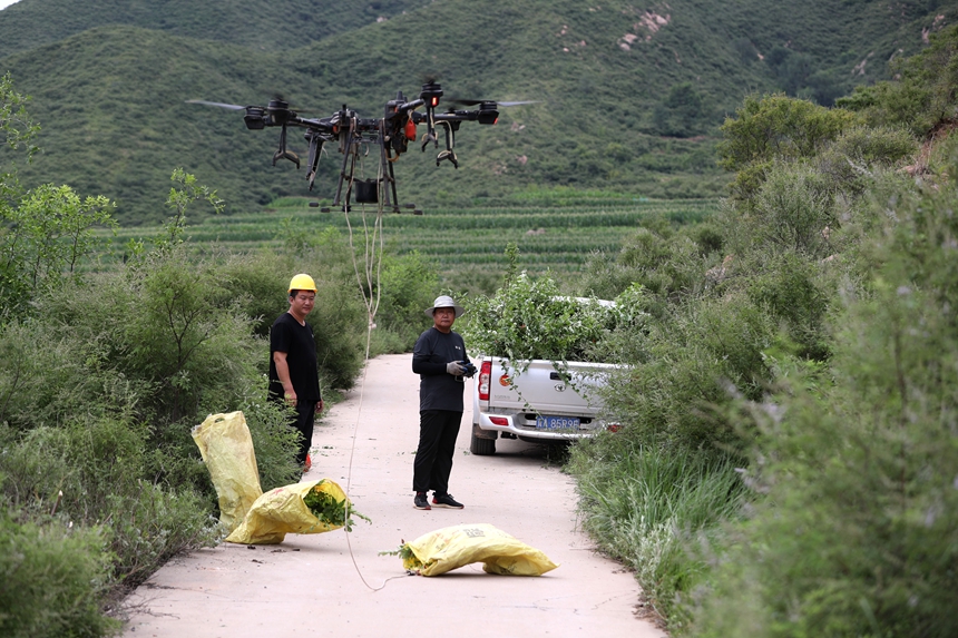 在石家莊市井陘縣吳家窯鄉(xiāng)長(zhǎng)峪村荒山造林現(xiàn)場(chǎng)，一名無(wú)人機(jī)手操控?zé)o人機(jī)運(yùn)輸樹苗。王保龍攝