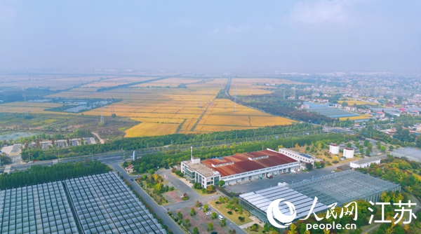 位于幸福街道的“萬頃良田”。人民網(wǎng)記者 王繼亮攝