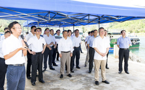 2019年6月21日上午，省長沈曉明率省政府班子成員在三亞鐵爐港調(diào)研項(xiàng)目規(guī)劃建設(shè)情況。海南日?qǐng)?bào)記者 宋國強(qiáng) 攝