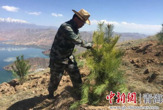 圖為尖扎干部職工生態(tài)建設和環(huán)境保護現場。尖宣 供圖