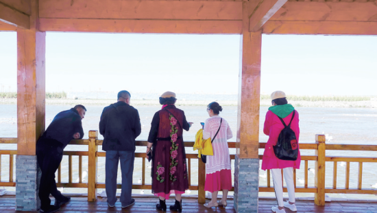 湟魚洄游奇觀吸引游人。