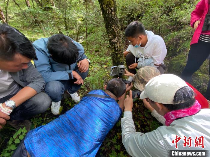 圖為訪客正在查看紅外相機(jī)中的拍攝畫面?！±罱瓕?攝