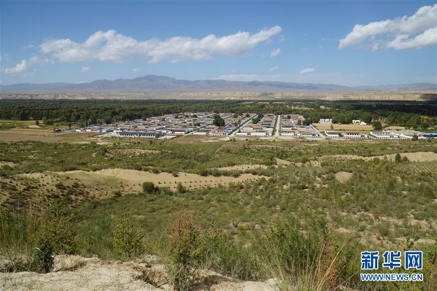 （決戰(zhàn)決勝脫貧攻堅·圖文互動）（2）高原鄉(xiāng)鎮(zhèn)沙珠玉 治沙斗貧成“綠?！薄嗪Ｊ」埠涂h沙珠玉鄉(xiāng)采訪見聞
