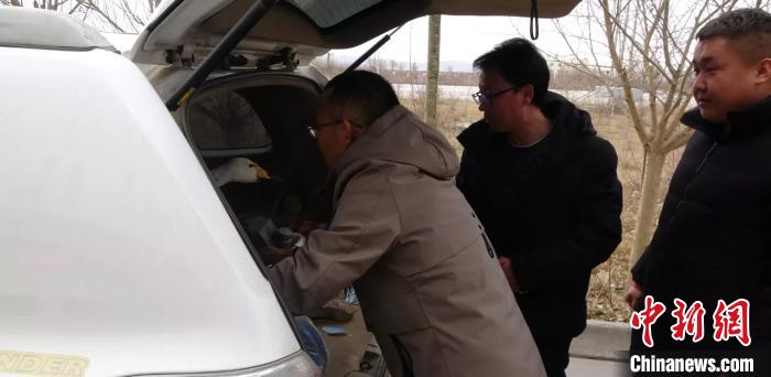 圖為民警救助國(guó)家二級(jí)保護(hù)動(dòng)物——大天鵝。青海省公安廳森林警察總隊(duì)供圖