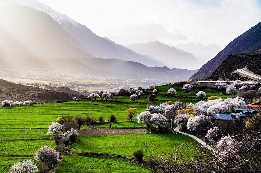 西藏林芝市波密縣傾多鎮(zhèn)八朵卡的田園風光（攝于4月5日）。新華網(wǎng) 達娃攝.jpg